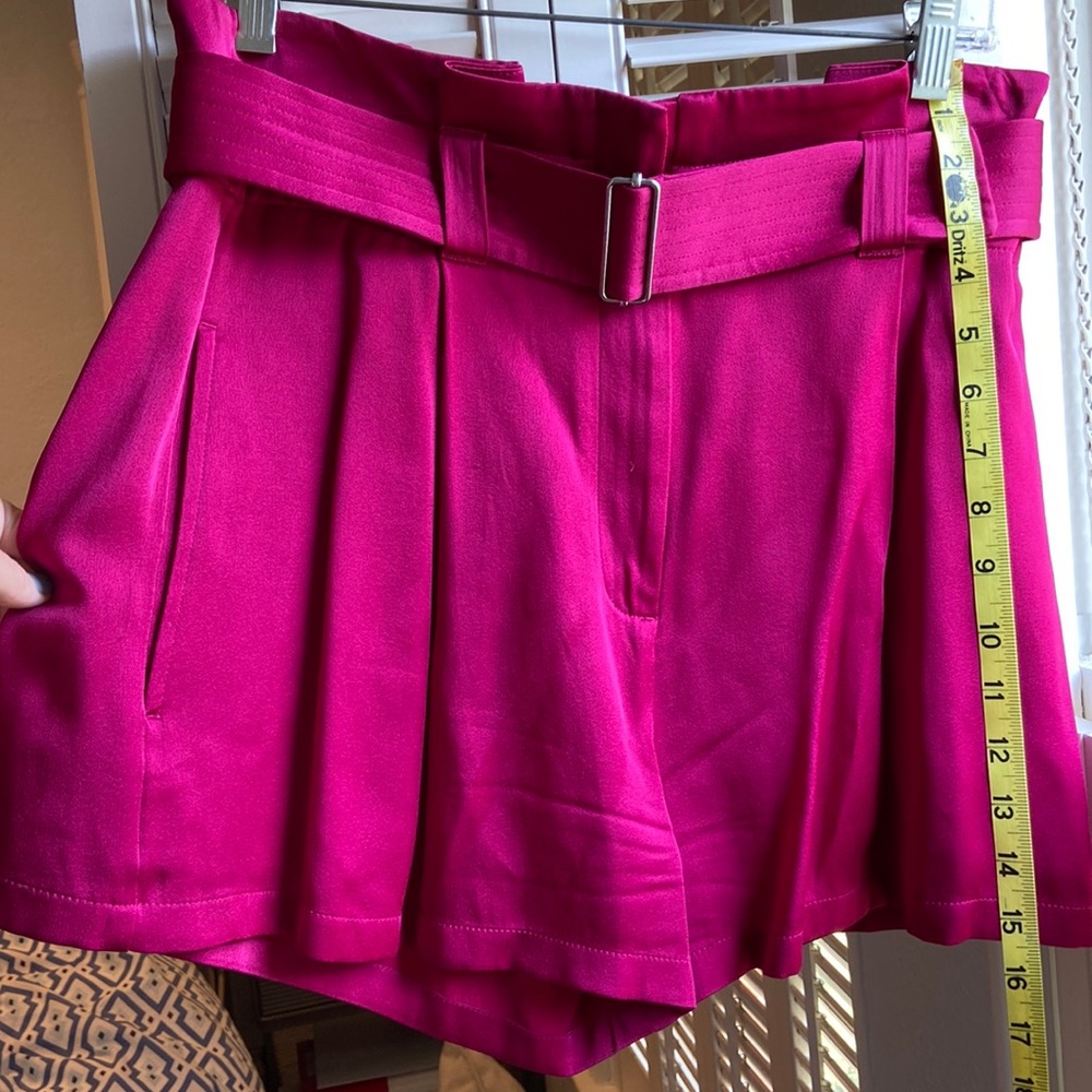 ALC Pleated shorts with belt, zipper and clasp front closure, size 6